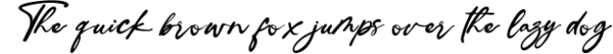 Ingkar Janji - Stylish Script Font Font Preview