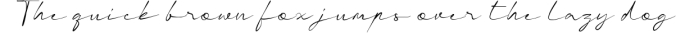 Charlotte - Casual Handwritten Font Font Preview