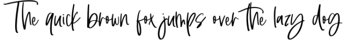 Santonelly - Handwritten Script Font Font Preview