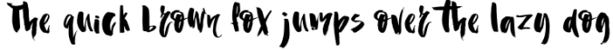 Haiti Organic Brush Font Font Preview