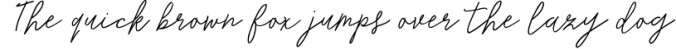 Monoline Signature script - de Novembre Font Preview