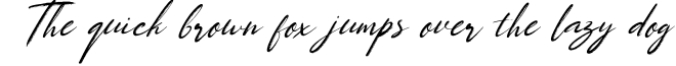 Maria Curieg Handwritten Brush Font Font Preview