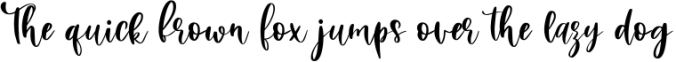 Beauty Youth. Lovely Script Font Preview