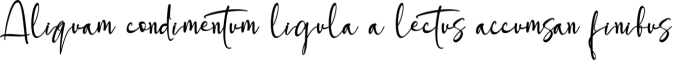 Steffinella Font Preview