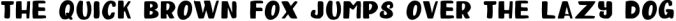 Happy Clover Font Duo Font Preview