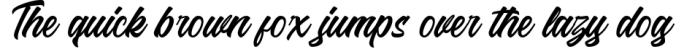 Riverside - Script Font Font Preview