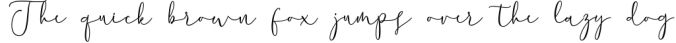 Chastum Handwritten Font Preview