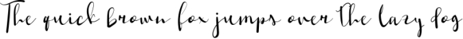 Shaktira Script Font Font Preview