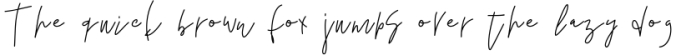 Salt Water - Handwritten Chic Font Font Preview