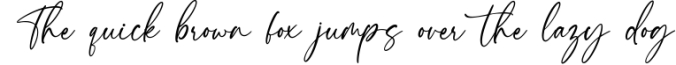 Santana Calligraphy Font Font Preview