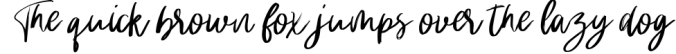 Holyson Calligraphy Brush Font Preview