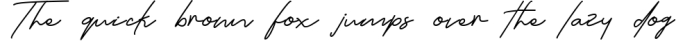 Austin Signature Font Font Preview