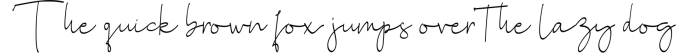 Siontins  elegant signature font Font Preview