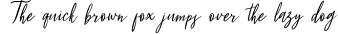 Fleur Bleue - Beautiful Romantic Font Font Preview