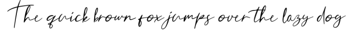 Daimaru Modern Signature Font Preview