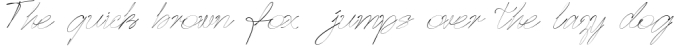 Dance Of Lines Signature Font Font Preview