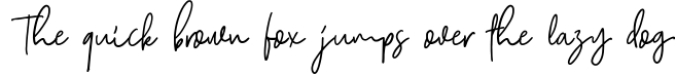 Camilla - Signature Script 6 Fonts Font Preview