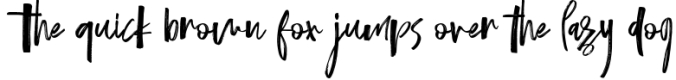 Gatasuunk New Brush Font Font Preview