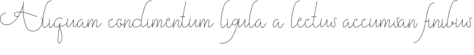 Gamila Font Preview