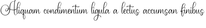 Plamiya Font Preview