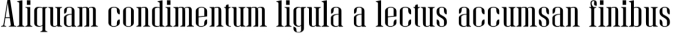 Alexander Font Preview