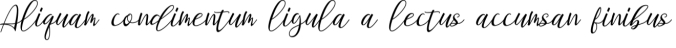 Staples Calligraphy Font Preview