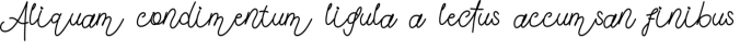 Delafinka Font Preview