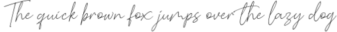 Baldive Signature Monoline Font Font Preview
