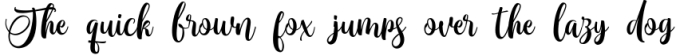 Monttassic - Luxury Script Font Font Preview
