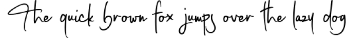 Coastal Musk | Elegant Signature Font Font Preview