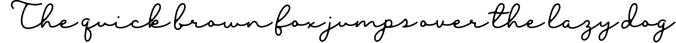 Blesson - Signature Font Font Preview