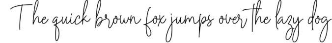 Rotterdam Signature - Casual Script Font Preview