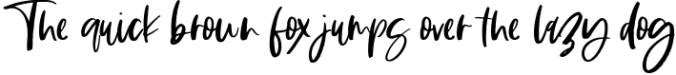 The Sunlight - A Handwritten SVG Script Font Font Preview