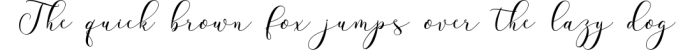 Futsal Script Font Preview