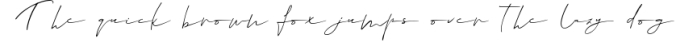 Diamonds & Pearls | A Handwritten Signature Script Font Font Preview