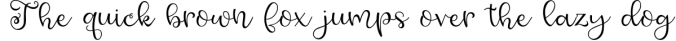 Honey Bumbles, a curly, round script font Font Preview