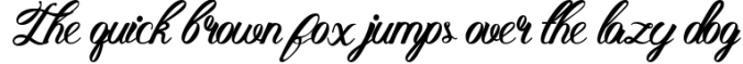 Hellena Italic-Calligraphy Italic Font Script Font Preview