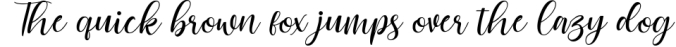 Cattalina - Beauty Script Font Font Preview