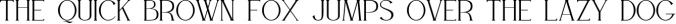 WILLSON - Clean Serif Font Preview