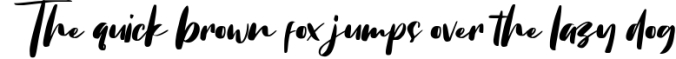 Chellyne - Modern Script Font Font Preview