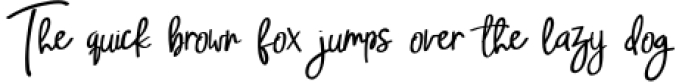 4 Unique Signature & handdrawn with monoline styles collection Font Preview
