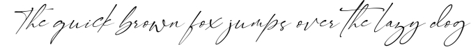 Signatie | Stylish Signature Font Font Preview