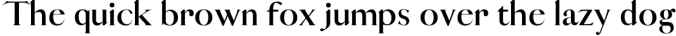 VOGUE - An Elegant Typeface Font Preview
