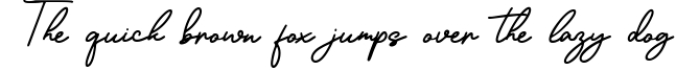 Ronallatie - Elegant Signature Font Font Preview