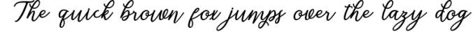 NEW | Wostella Script Font Preview