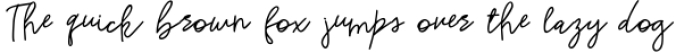 Rishangle Handwritten Script Font Preview