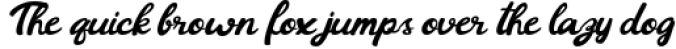 Barney Vintage Style Script Font Font Preview