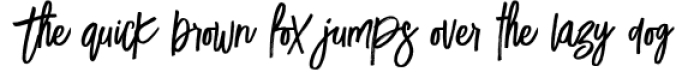 Lucky Fashion Brush Font Font Preview
