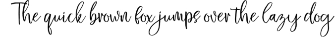 Love Diary Lovely Script Font Preview
