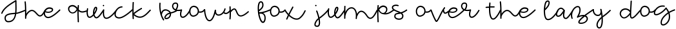 Extraordinary - Handwritten Script Font Font Preview